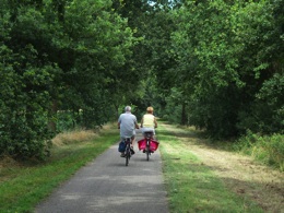 De bomen langs het vroegere spoorlijntje zijn tot volle wasdom gekomen.