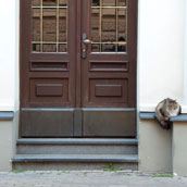 Jugendstil deur in de Albertastraat