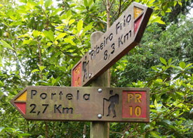 We zijn levada-af (eventjes dan). Ruim acht kilometer achter de rug. Het is niet zo ver meer naar onze eindbestemming.