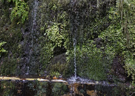 Soms druipt het water van de wanden direct de levada in.