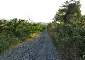 Het traject is een prima wandelroute. Je komt niemand tegen en het landschap biedt een schilderachtige aanblik.Alhoewel het overdag smoorheet was, blijkt de route (zeker als je vanuit Volterra benedenwaarts vertrekt) heel goed te doen in de namiddag. Het hele trac ligt in de schaduw door de struiken aan de westelijke kant.