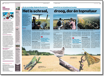 Een pagina van de Amersfoorste Courant van 1 juni. Collega A. heeft de fotos van drie diertjes onderin vrijstaand gemaakt en geplaatst over de achtergrondsfoto. De techniek waarmee dat moet gebeuren ken ik nog niet. Ook het verloop van het blauw is een truc op zich, die ik nog graag uitgelegd had gekregen. Via Slack stuur ik A. een compliment voor de originele manier waarop hij de pagina heeft vormgegeven.