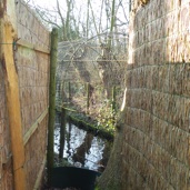 Via de schotten, waarachter de kooiker of zijn hondje opduikt worden de eenden van de centrale vijver in deze vangpijpen gelokt, cq. gejaagd.