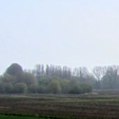 Het landschap rond de Kromme Rijn bij Wijk bij Duurstede.