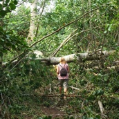 Soms is het door de recente stormschade even manoevreren. 