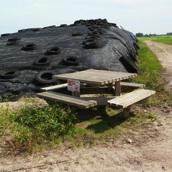 Hier vind je ook de romantieste picknickplek van heel Nederland!