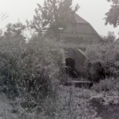 Vanaf dit punt heb ik voorgaande foto genomen. Als je hier stond naast het kabbelende water, had je het gevoel ergens in de Ardennen te staan. Hier ving ik vetjes. Dat zijn kleine voorntjes. Die gingen mijn aquarium in.